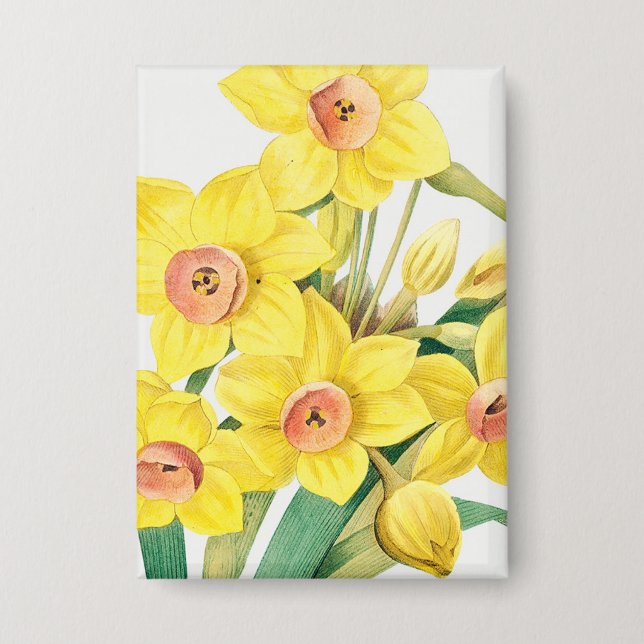 Chinesische Heilige Lilie, Pierre-Joseph Redouté,  Button (Vorderseite)