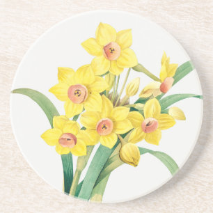 Chinesische Heilige Lilie, Pierre-Joseph Redouté,  Getränkeuntersetzer