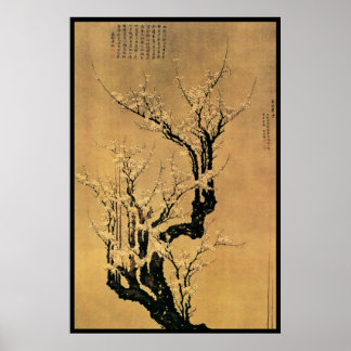 Chinesische Kirschblüten Poster