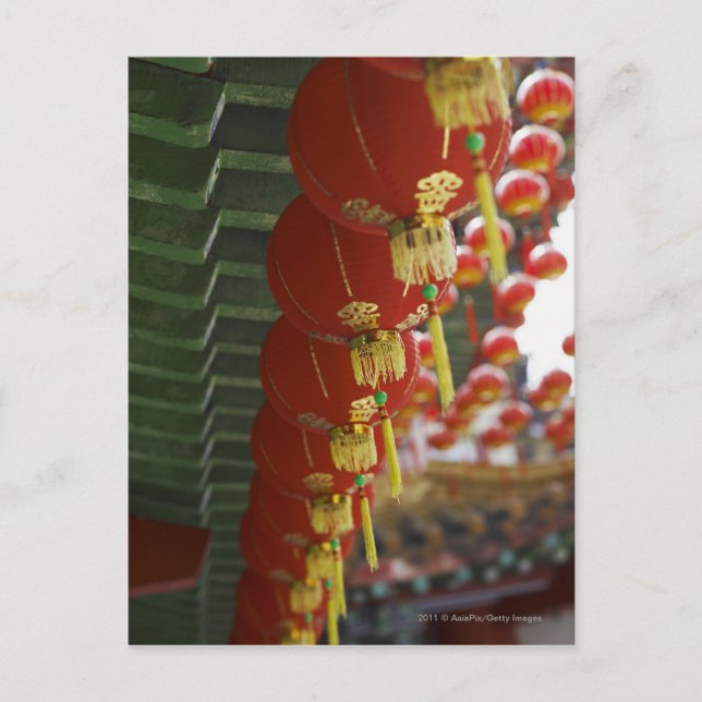 Chinesische Laternen, die aus dem Tempel hängen Postkarte (Vorderseite)
