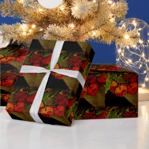 Chinesische Laternenfrucht-Pflanze Geschenkpapier