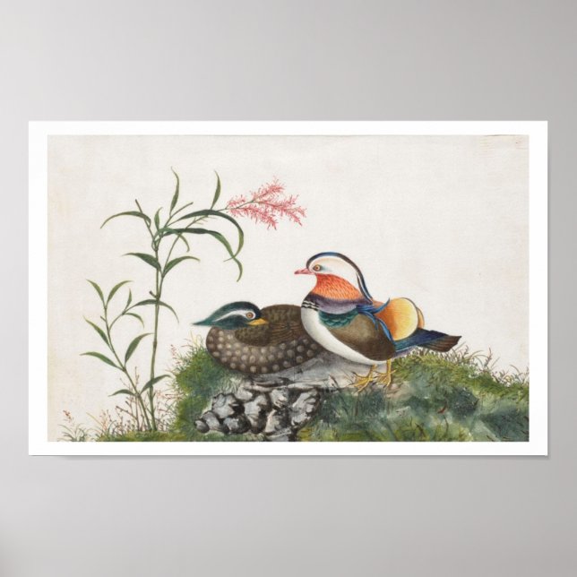 Chinesische Malerei mit Mandarin Duck Poster (Vorne)