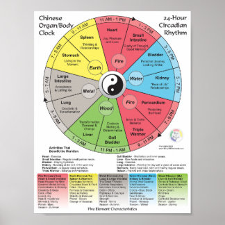 Chinesische Medizin Meridian Body Clock Poster