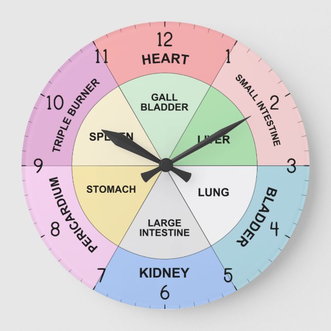 Chinesische Orgeluhr - TCM Body Clock Große Wanduhr (Vorderseite)