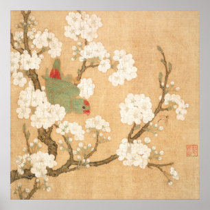 Chinesische Papagei- und Birnenblüten Poster