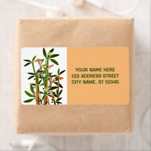 Chinesische Pflanze mit Lucky Bamboo. personalisie