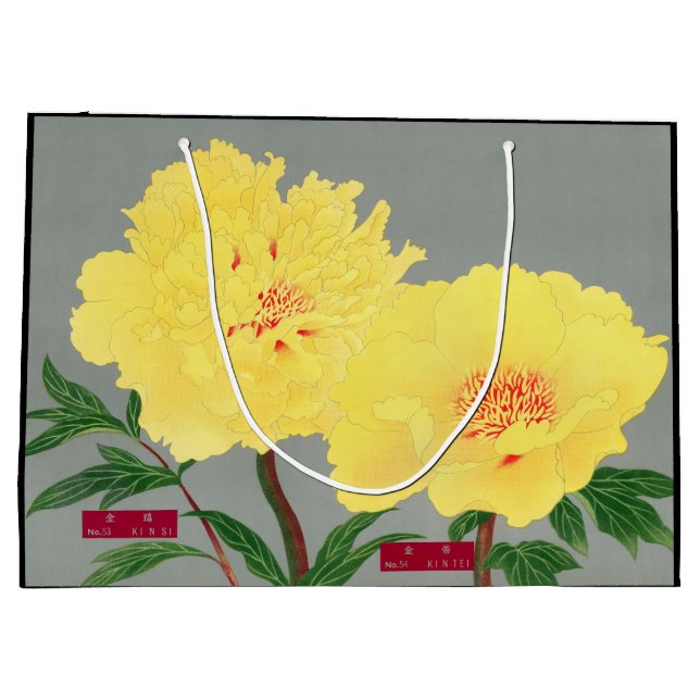 CHINESISCHE POPPIES GELBE UND GARTENGIFT BAG GROßE GESCHENKTÜTE (Rückseite)