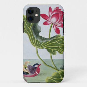 Chinesische rotes Wasser-Lilie, Volumen I, Platte iPhone 11 Hülle