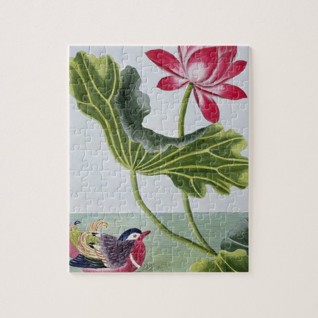 Chinesische rotes Wasser-Lilie, Volumen I, Platte Puzzle (Vertikal)