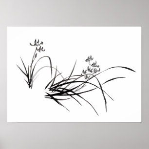Chinesische Schwertlilie im Frühling Poster
