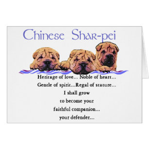 Chinesische Shar-pei-Geschenke