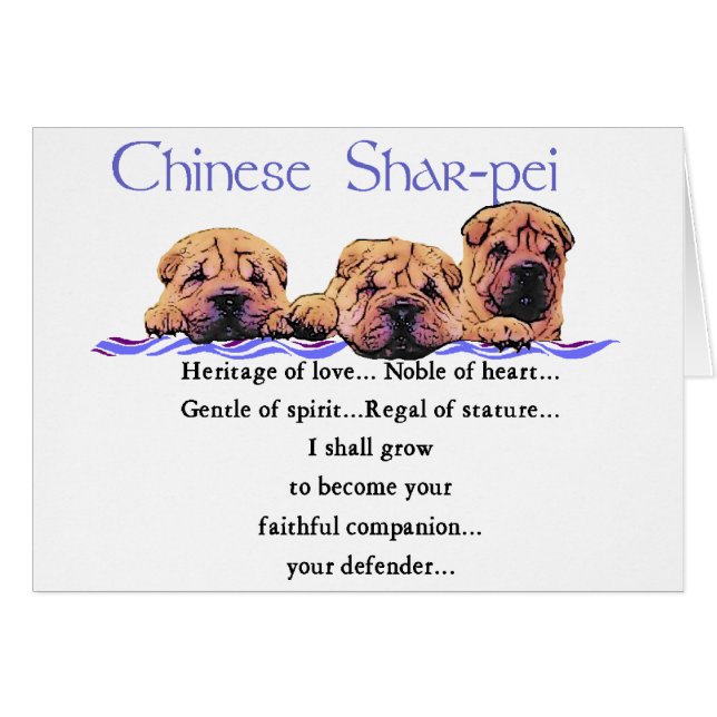 Chinesische Shar-pei-Geschenke (Vorderseite (Horizontal))
