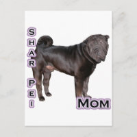 Chinesische Shar-Pei-Mama 4