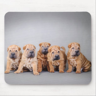 Chinesische Shar-Pei-Welpen Mousepad
