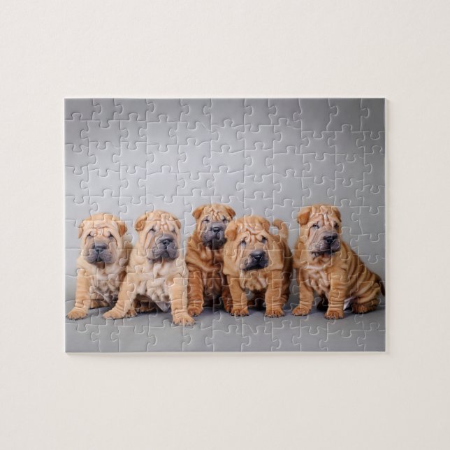 Chinesische Shar-Pei-Welpen Puzzle (Horizontal)