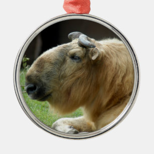 Chinesische Takin-Weihnachtsverzierung Ornament Aus Metall