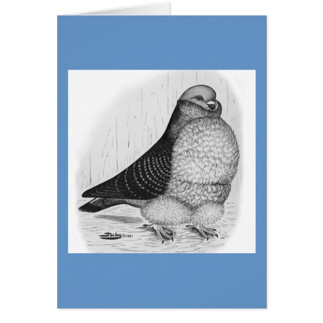 Chinesische Taubenfarbe Zeichnend (Vorne)