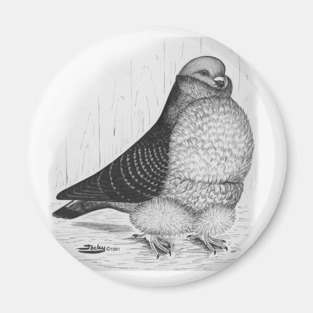 Chinesische Taubenfarbe Zeichnend Magnet (Vorne)