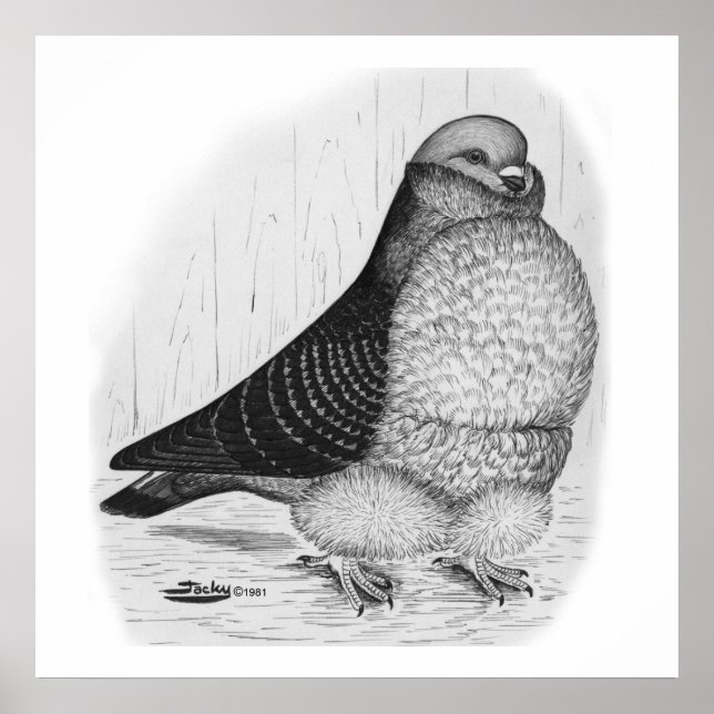 Chinesische Taubenfarbe Zeichnend Poster (Vorne)