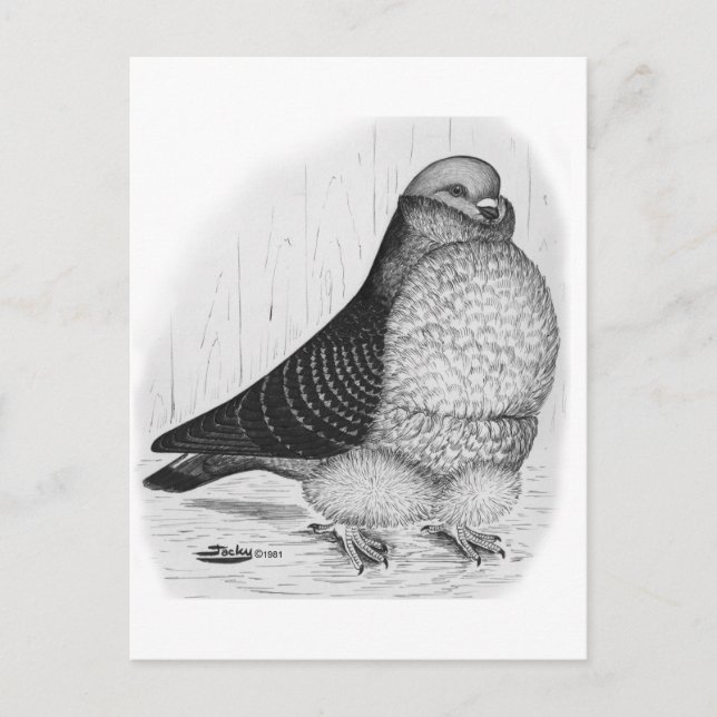 Chinesische Taubenfarbe Zeichnend Postkarte (Vorderseite)