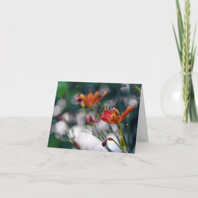 Chinesische Tiger-Lilien-Blumen addieren Ihren Karte (Vorderseite)