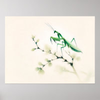 Chinesische Tintenmantel auf Ginkgo