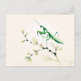 Chinesische Tintenmantis auf Ginkgo Postkarte