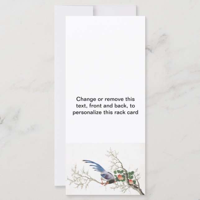 Chinesische Vogelmalerei (Vorderseite)