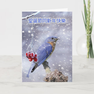 Chinesische Weihnachtskarte - Blauer Vogel mit Bee Feiertagskarte
