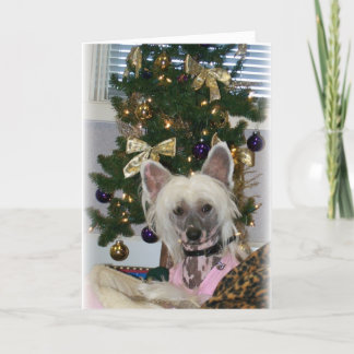 Chinesische Weihnachtskarte Feiertagskarte