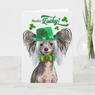 Chinesischer Crested Hund fühlt sich am St. Patric Feiertagskarte