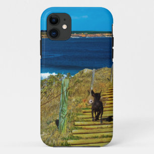 Chinesischer Crested-Welpe stiehlt Teddy iPhone Fi Case-Mate iPhone Hülle
