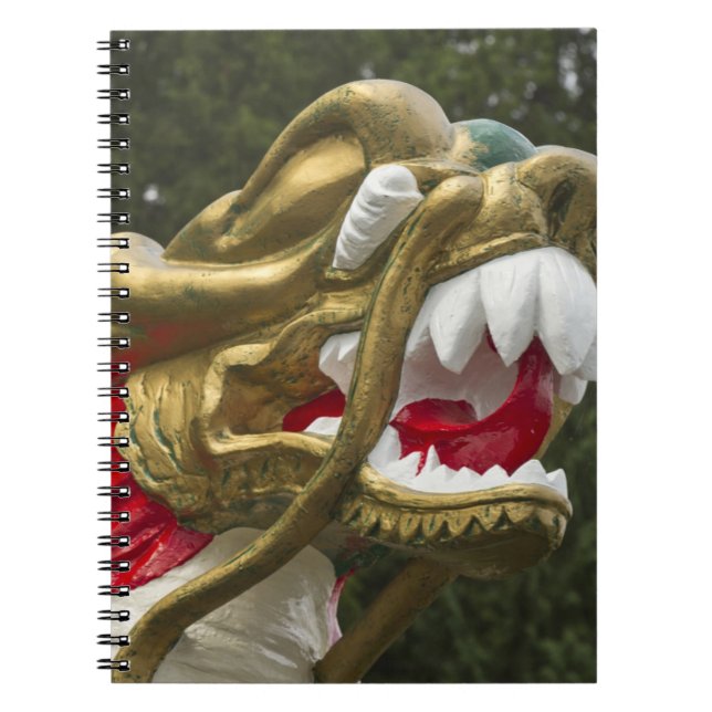 Chinesischer Drachenboot-Bug, Stanley Park Notizblock (Vorderseite)