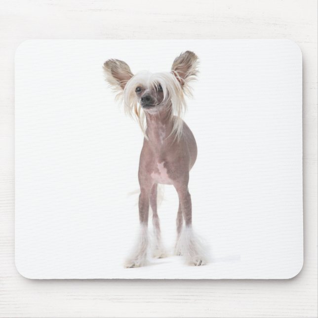 Chinesischer Hund mit Haube Mouspad Mousepad (Vorne)