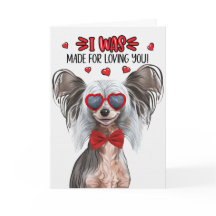 Chinesischer Hundehund ohne Haare liebt Valentine