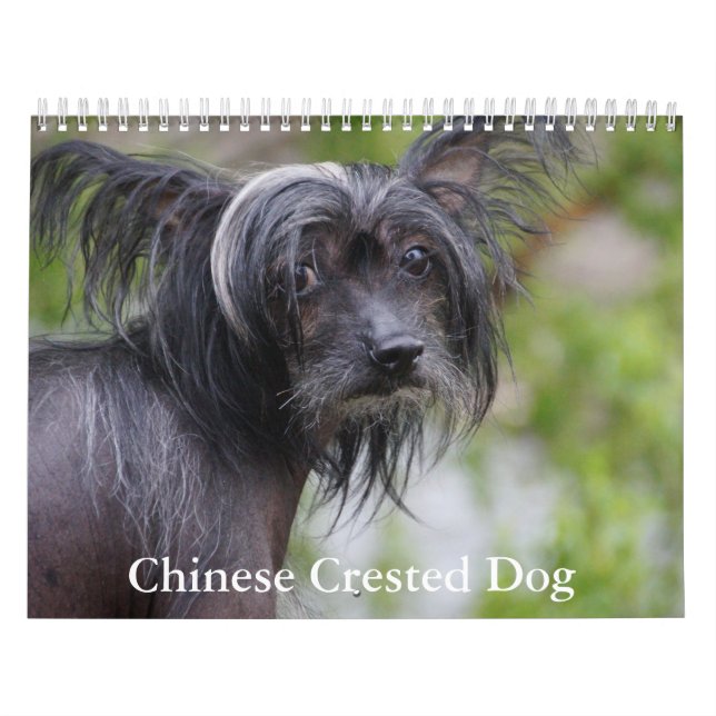 Chinesischer Kalender für gezinkte Hunde (Titelbild)