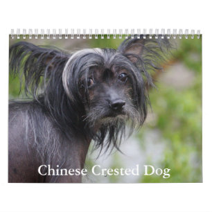 Chinesischer Kalender für gezinkte Hunde