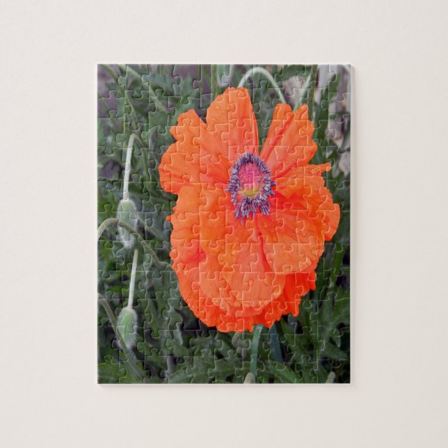 Chinesischer Mohn.... Puzzle (Vertikal)
