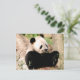 Chinesischer Panda Postkarte (Stehend Vorderseite)