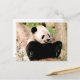 Chinesischer Panda Postkarte (Vorderseite/Rückseite Beispiel)
