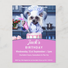 Chinesischer-Schäferhund-Geburtstagsfeier