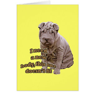 Chinesischer Schar Pei