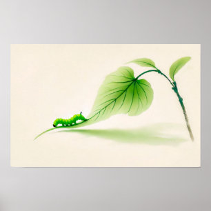 Chinesischer Schmetterling Raupe auf Linden Poster