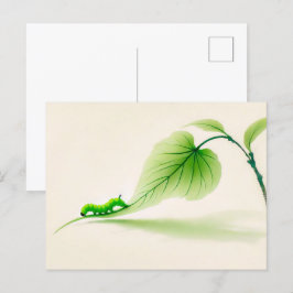 Chinesischer Schmetterling Raupe auf Linden Postkarte