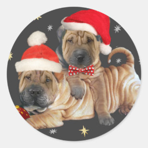 Chinesischer Shar-pei Ein frohes Weihnachtsgeschen Runder Aufkleber