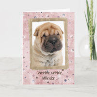 Chinesischer Shar-pei Geburtstags-Spaß