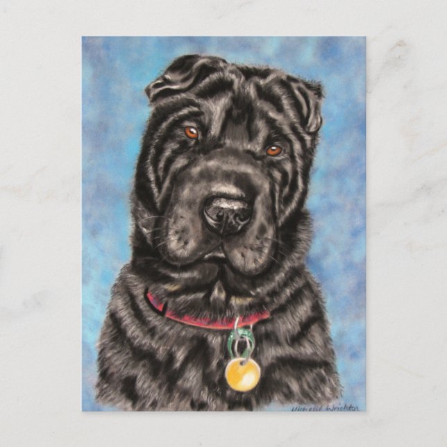 Chinesischer Shar-Pei Hund Art - Tia Postkarte (Vorderseite)
