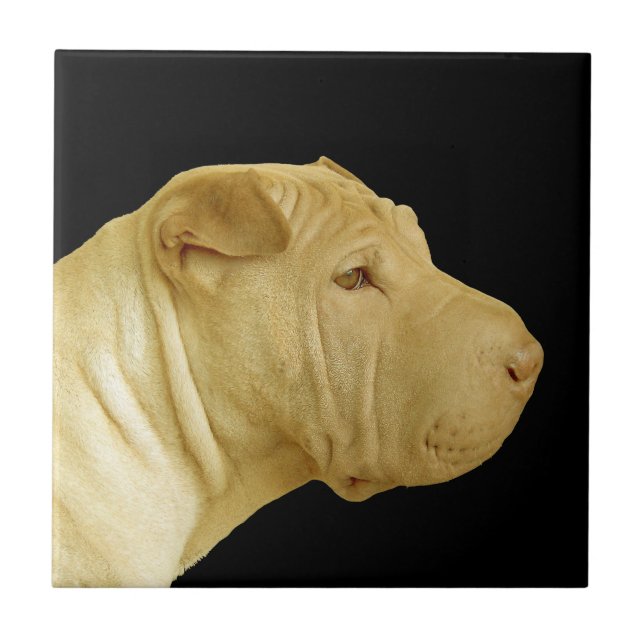 Chinesischer Shar-Pei-Hund-Profil Fliese (Vorderseite)