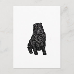 Chinesischer Shar Pei - schwarz Postkarte
