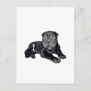 Chinesischer Shar Pei - schwarzes Welpe Postkarte